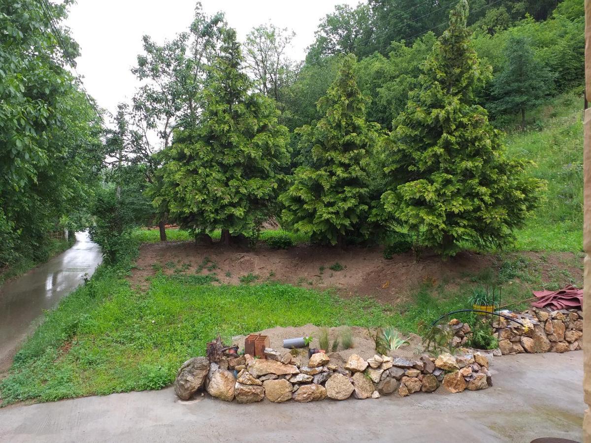 "Luxury Country House" Nis-Niska Banja Zewnętrze zdjęcie